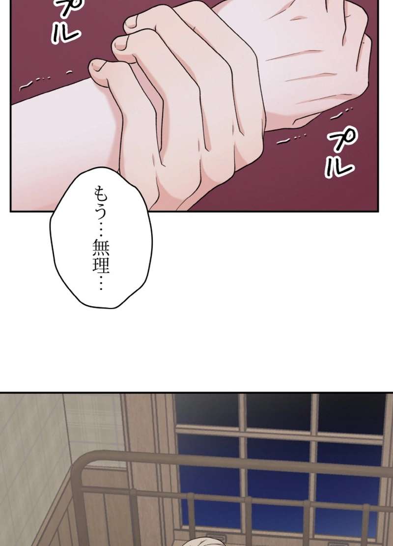 P81