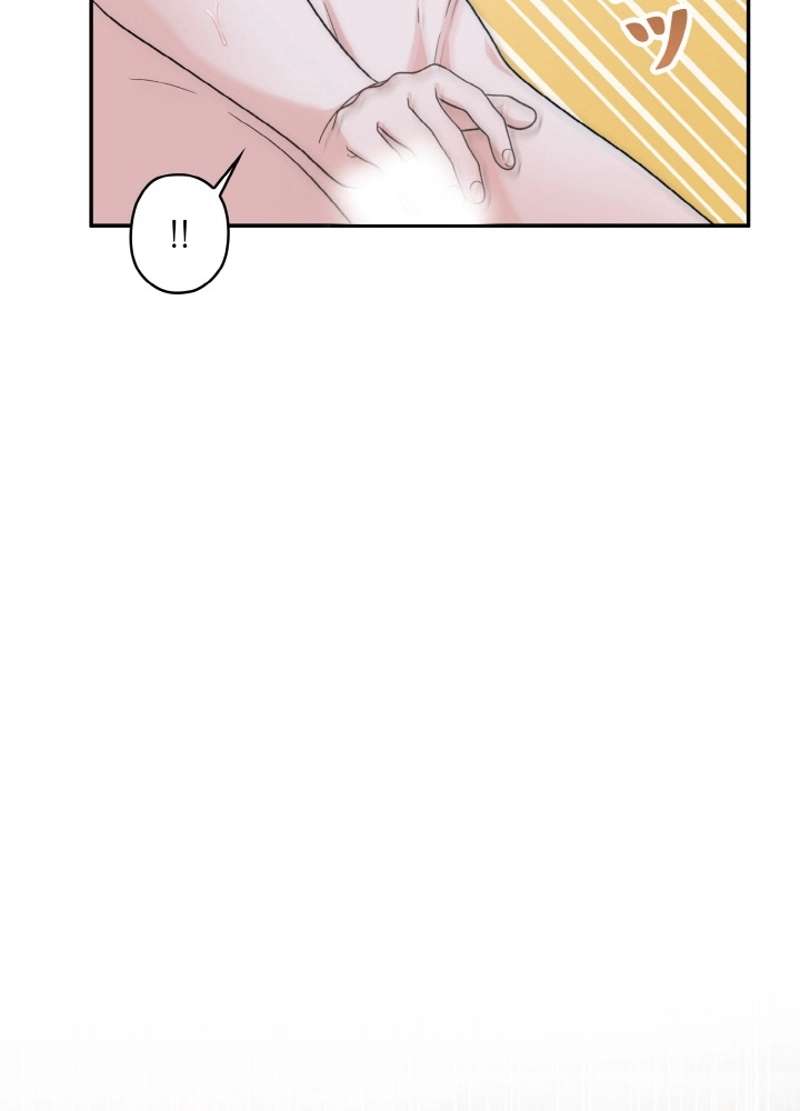 P66