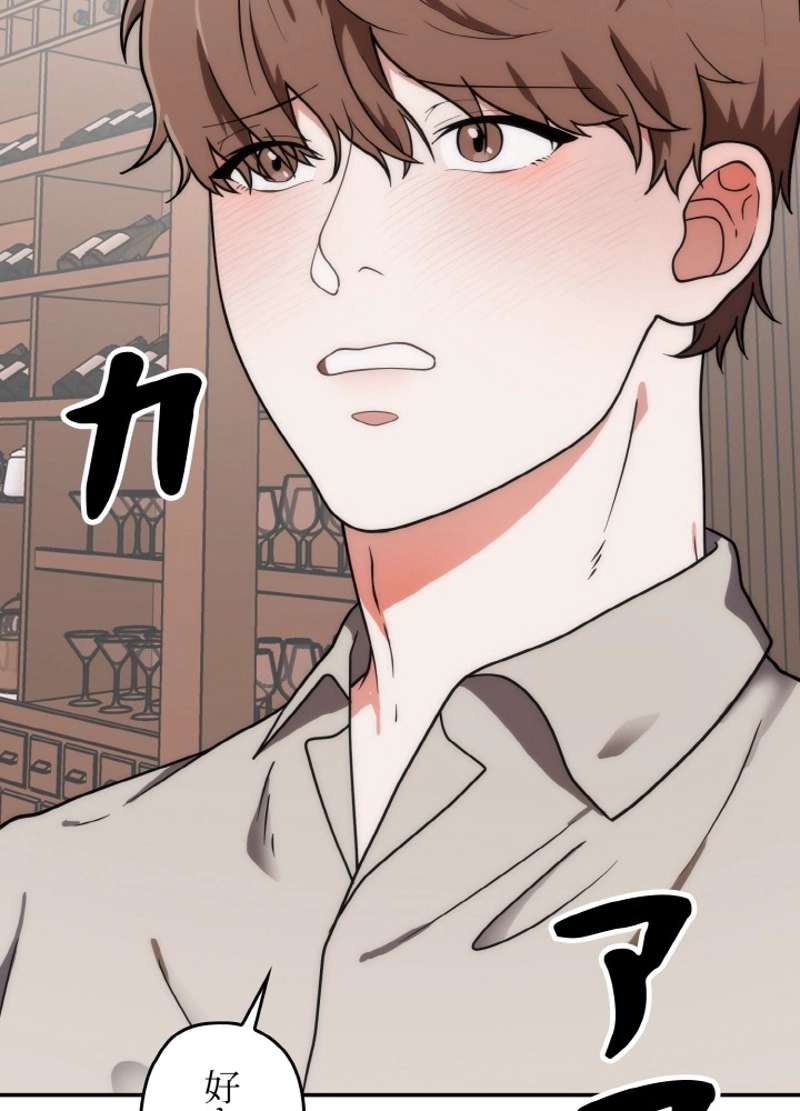 P66