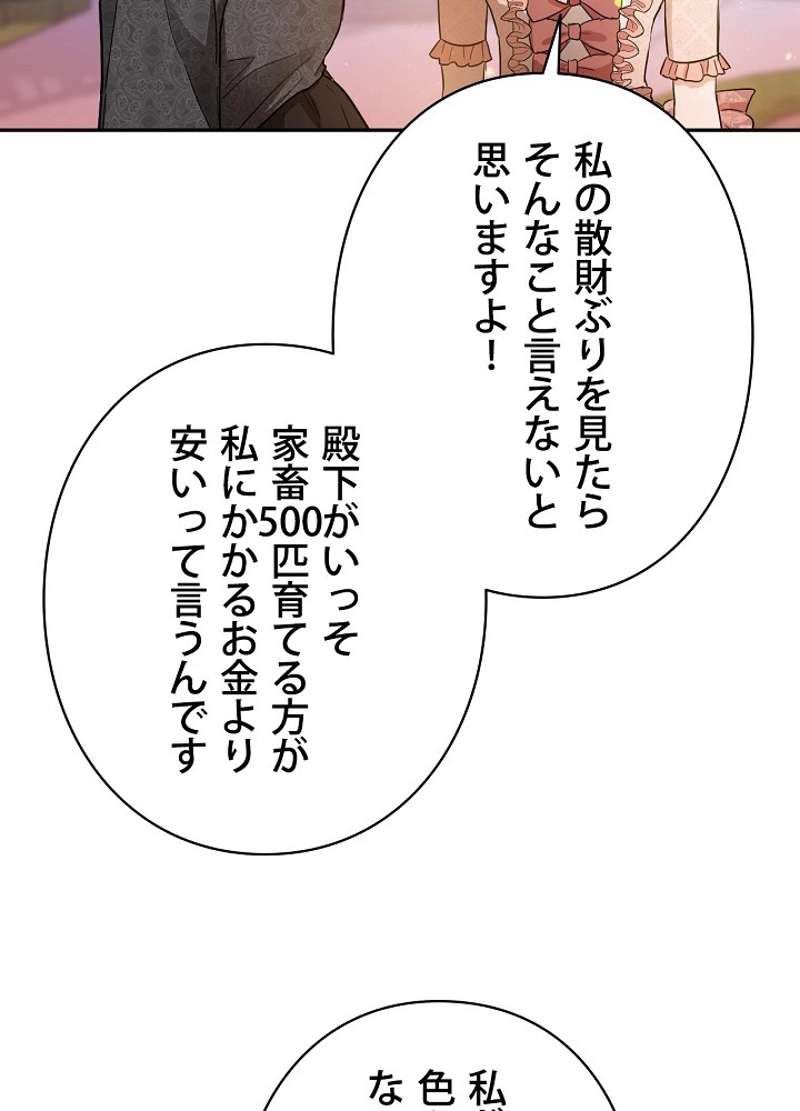 P41