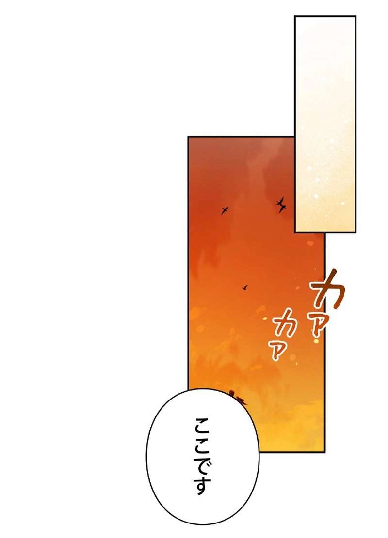P62