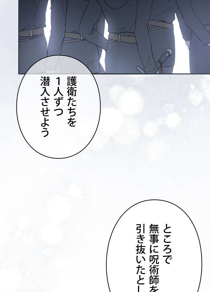 P53