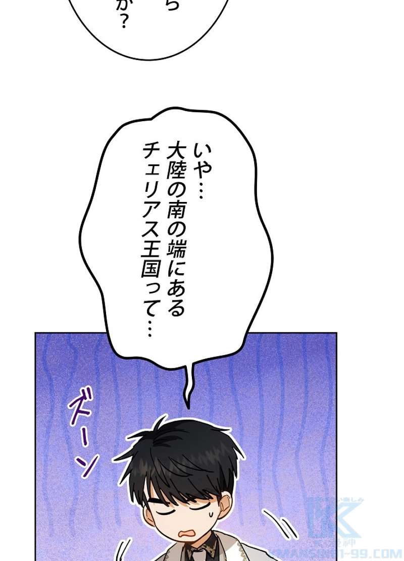 P61