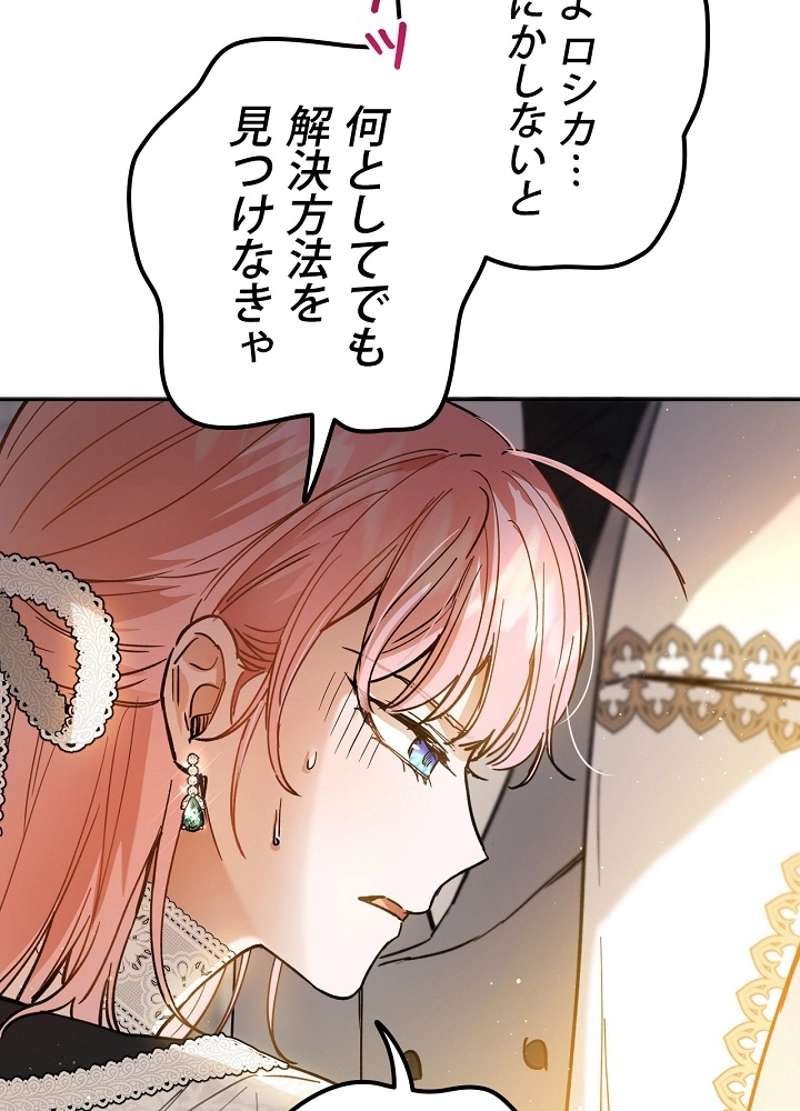 P66