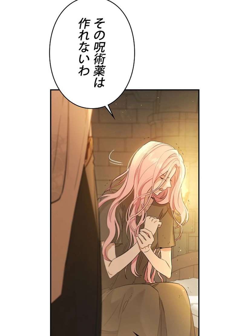 P61