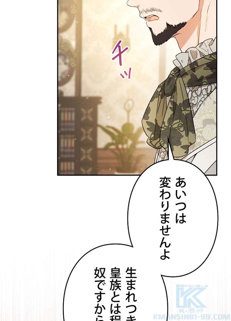 P48