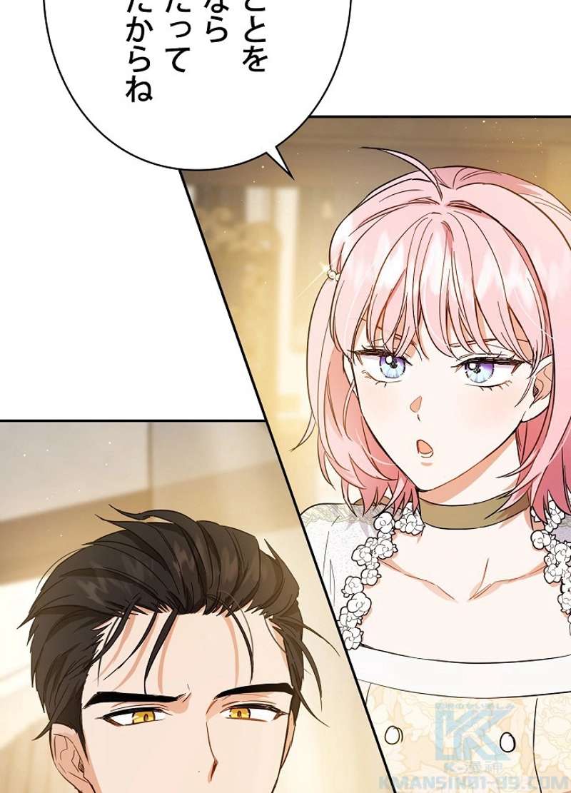 P66