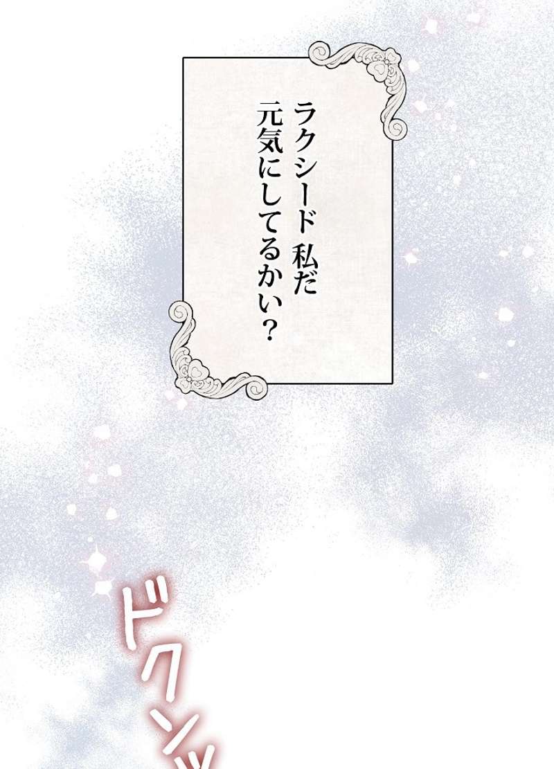 P84