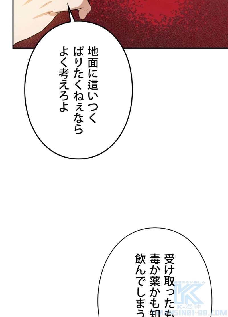 P58