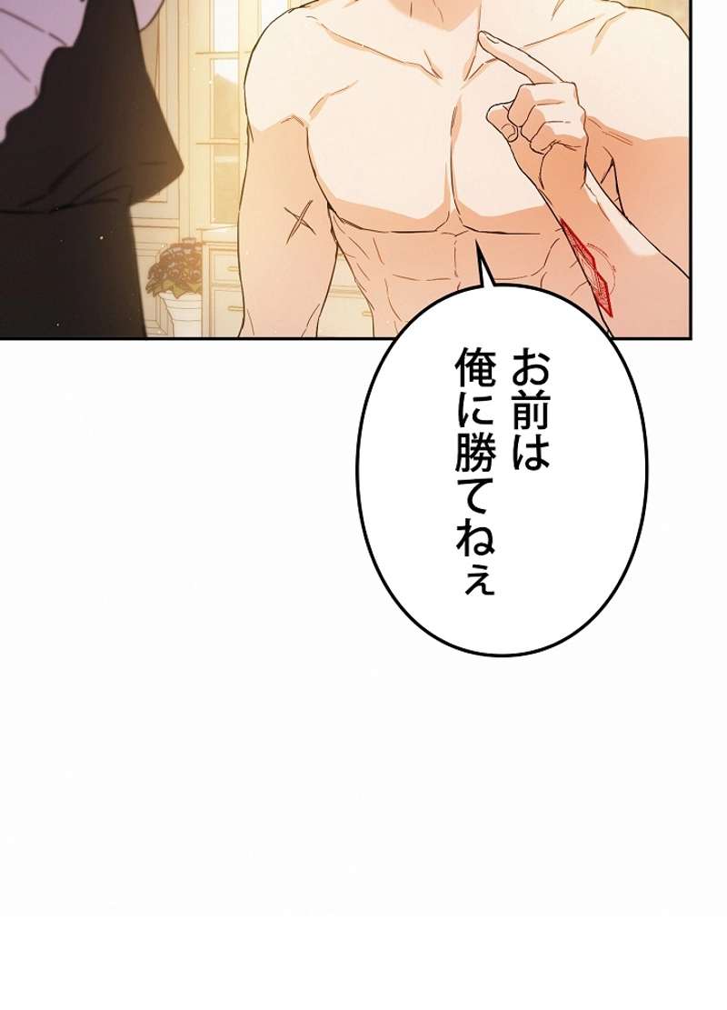 P61