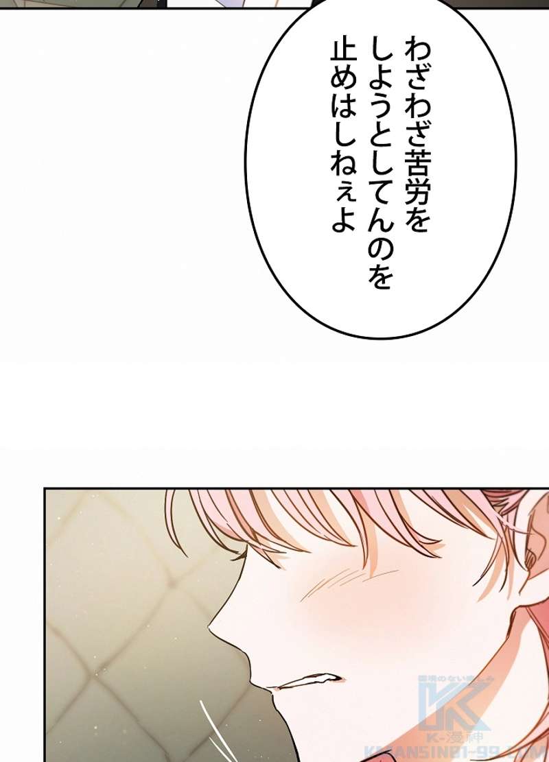 P63