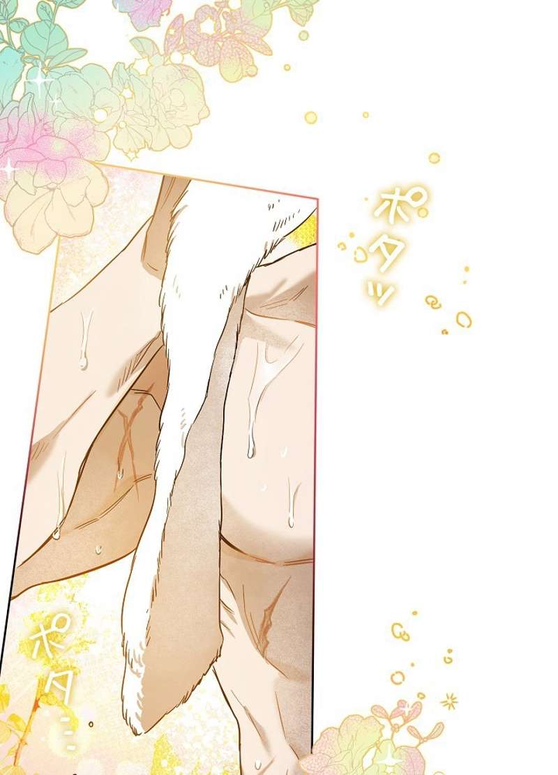 P74