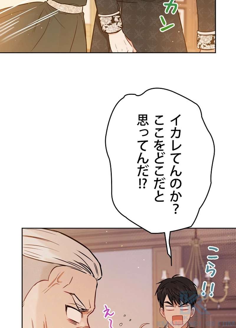 P61