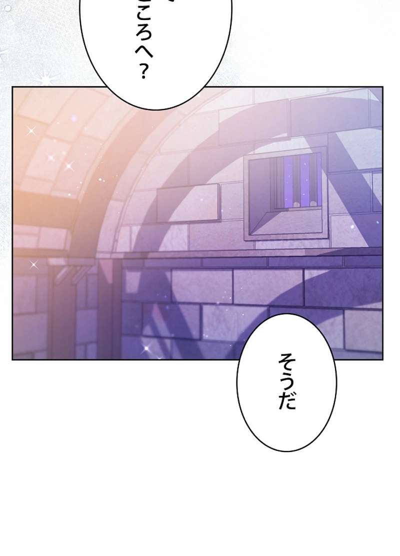 P66
