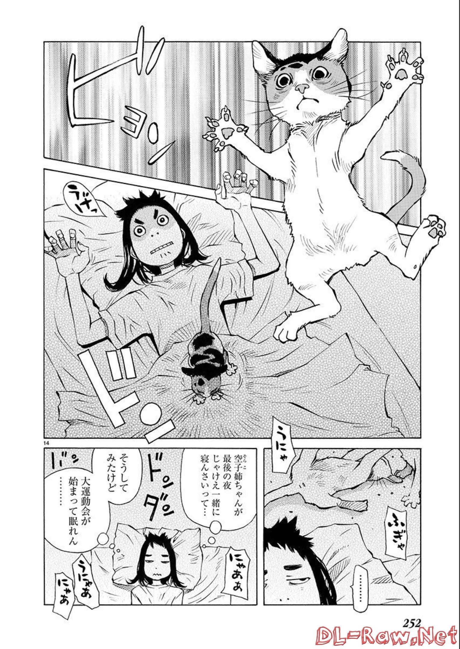 P14