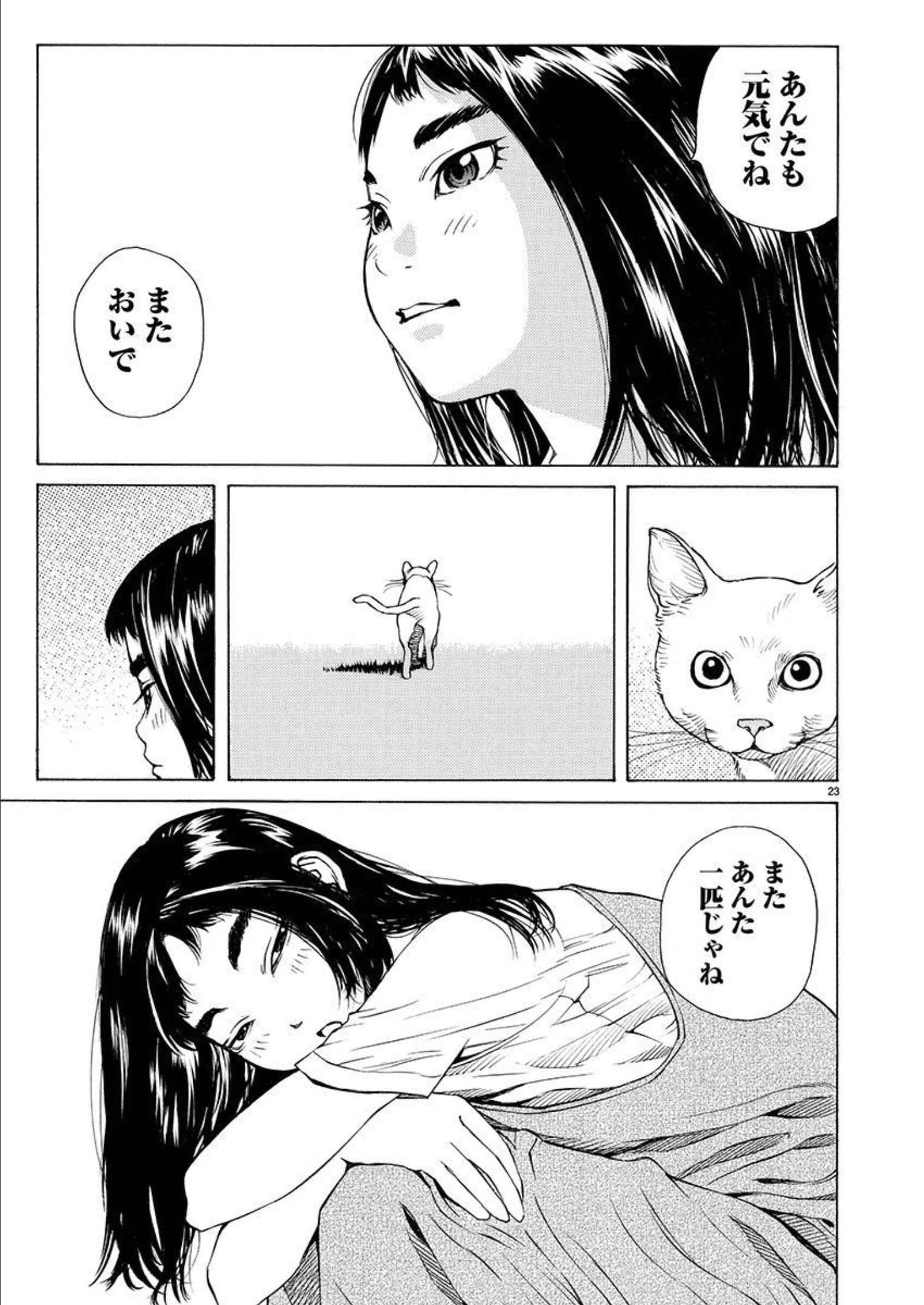 P23