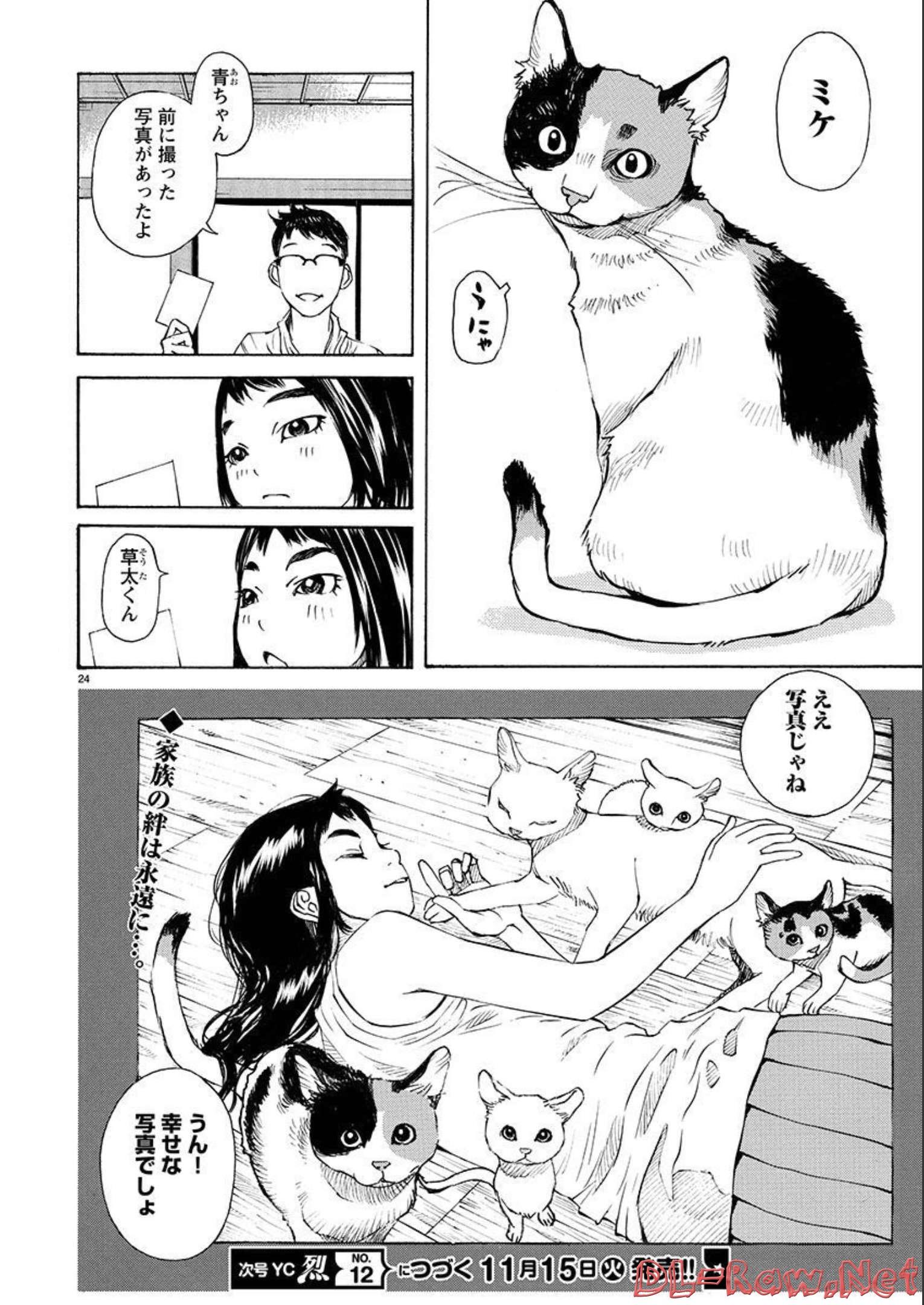 P24