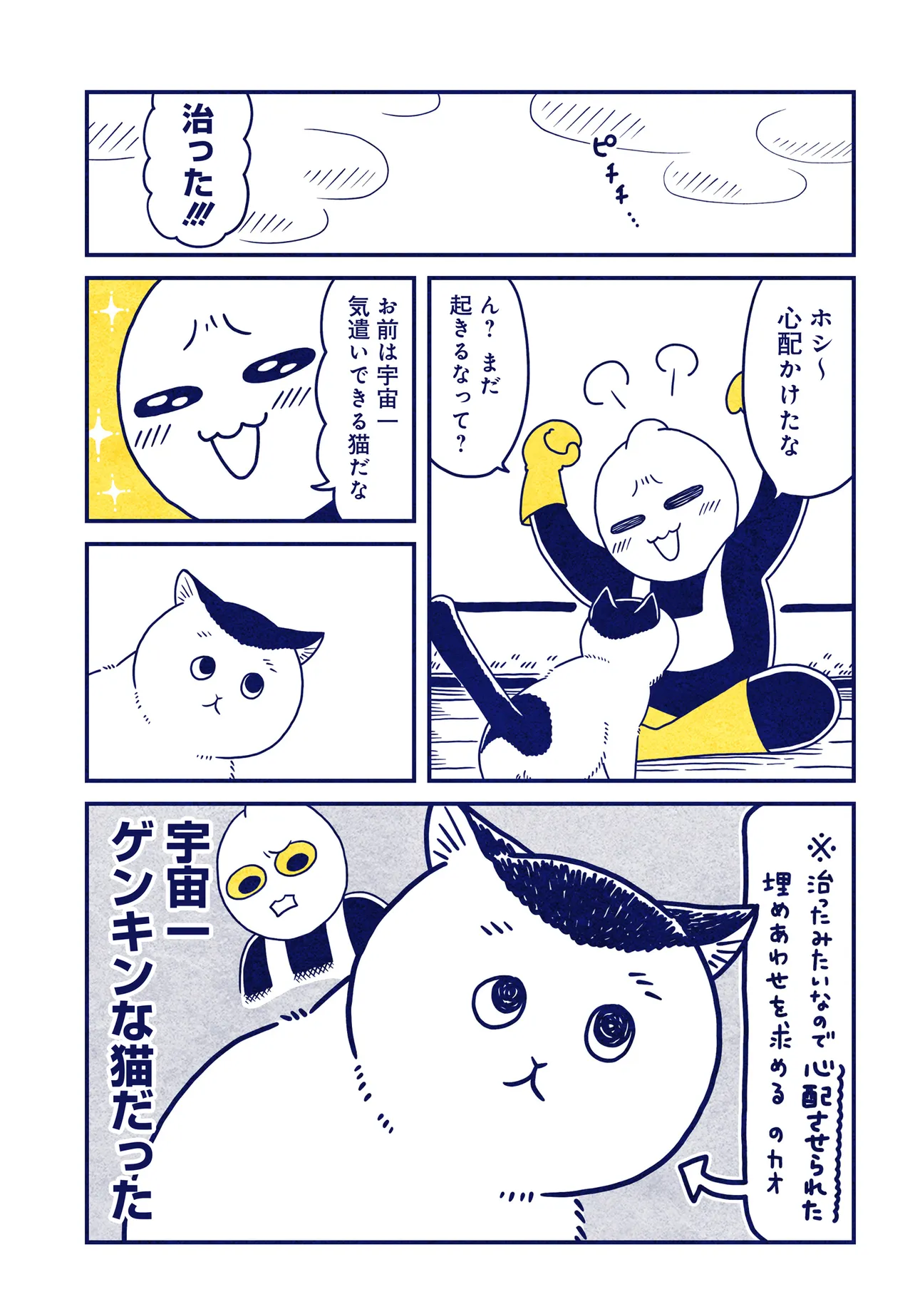 P4