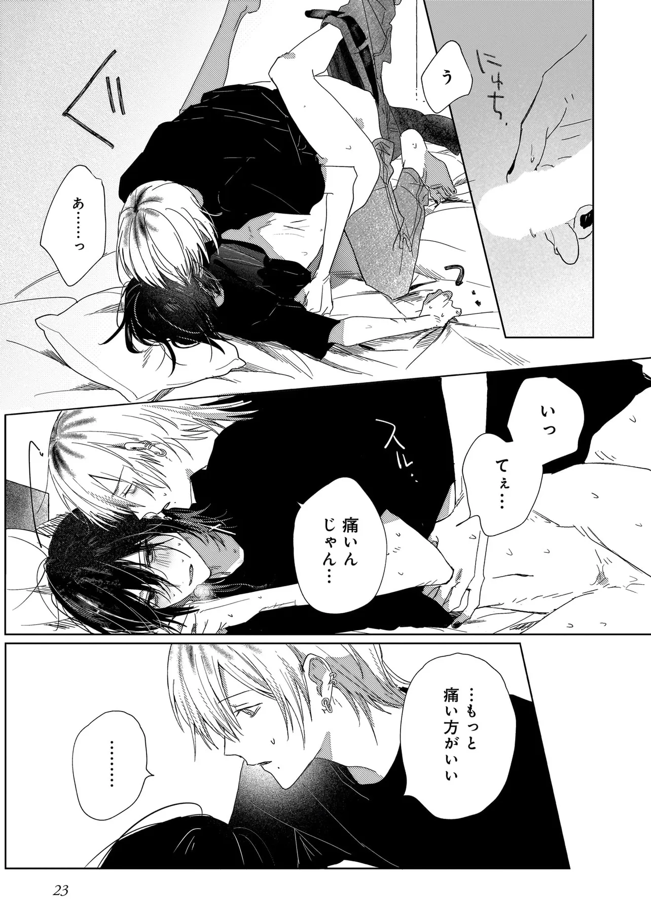 P23