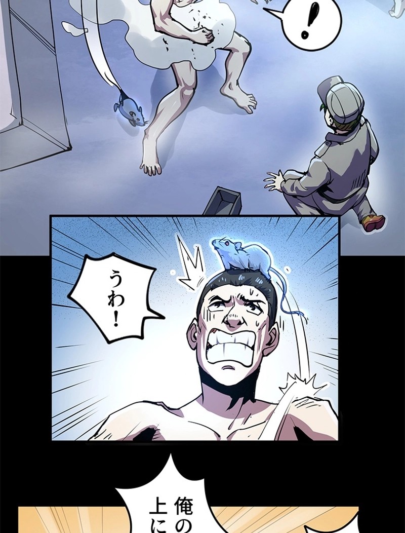 P53