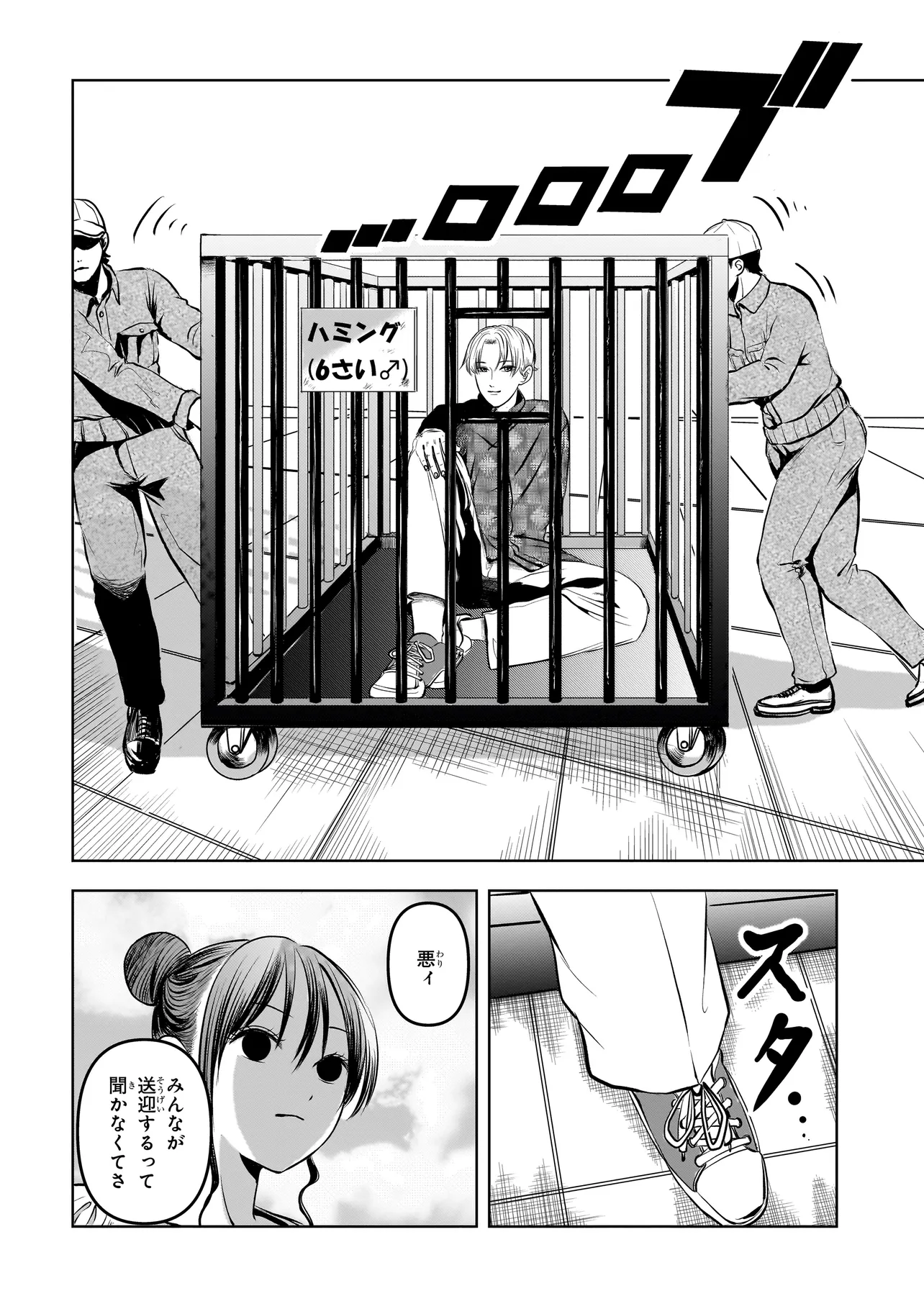 P12