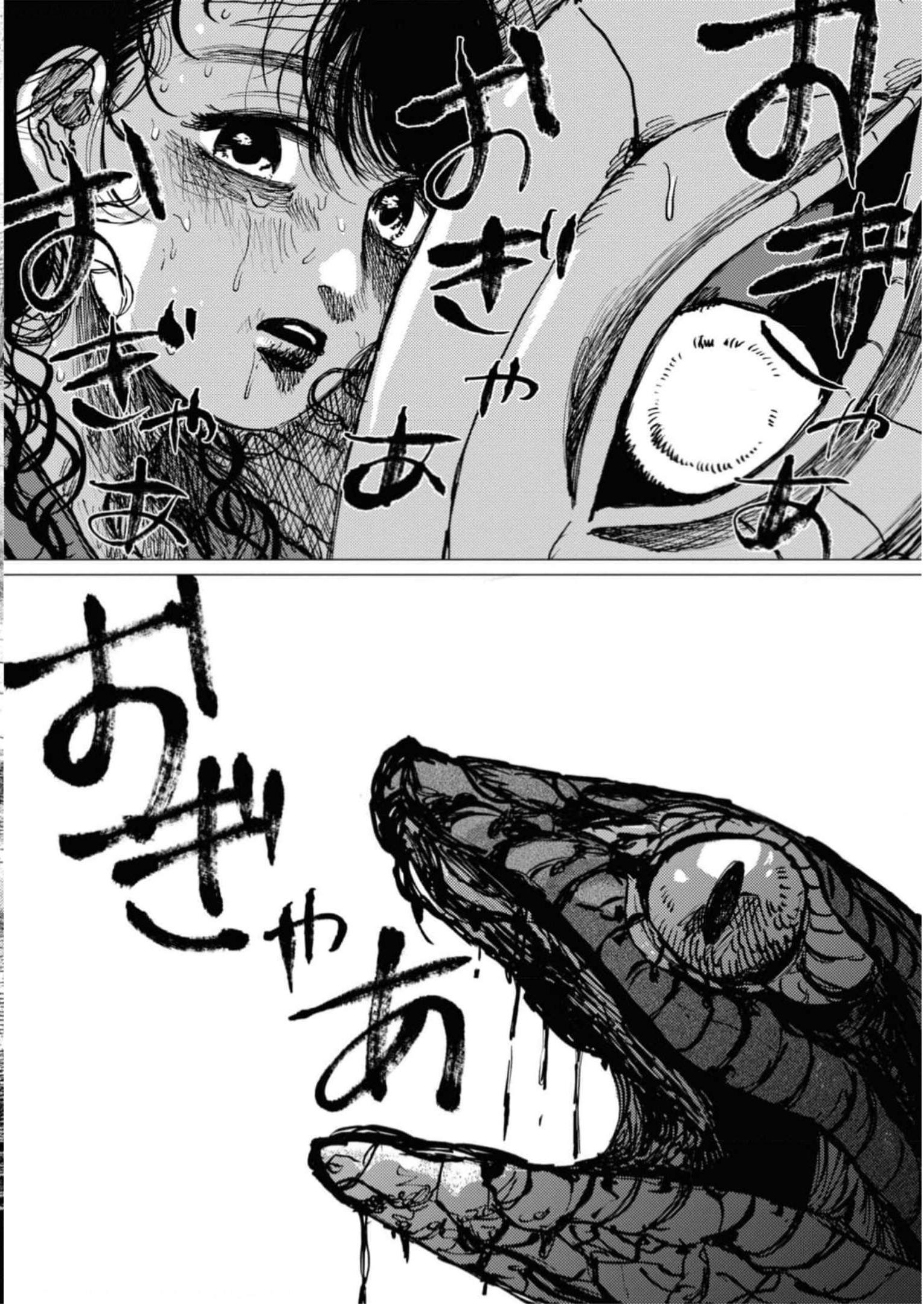 P41