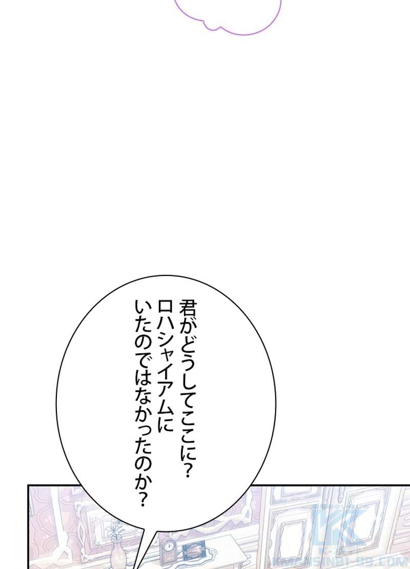 P61