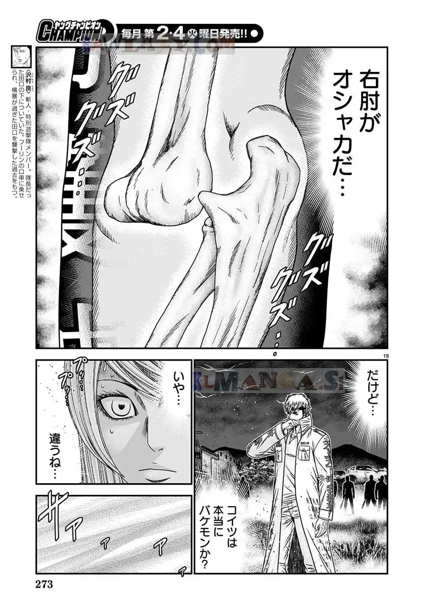 P19