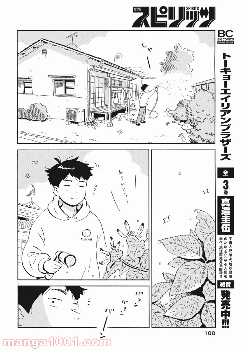 P6