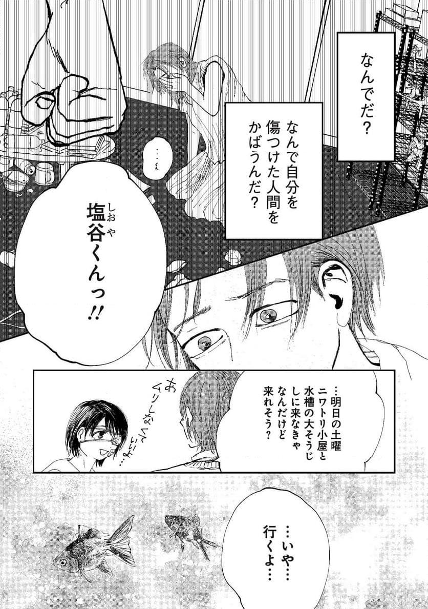 P27