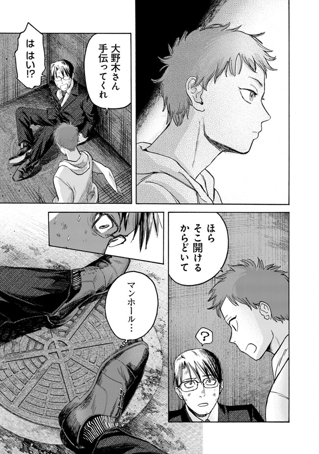 P31