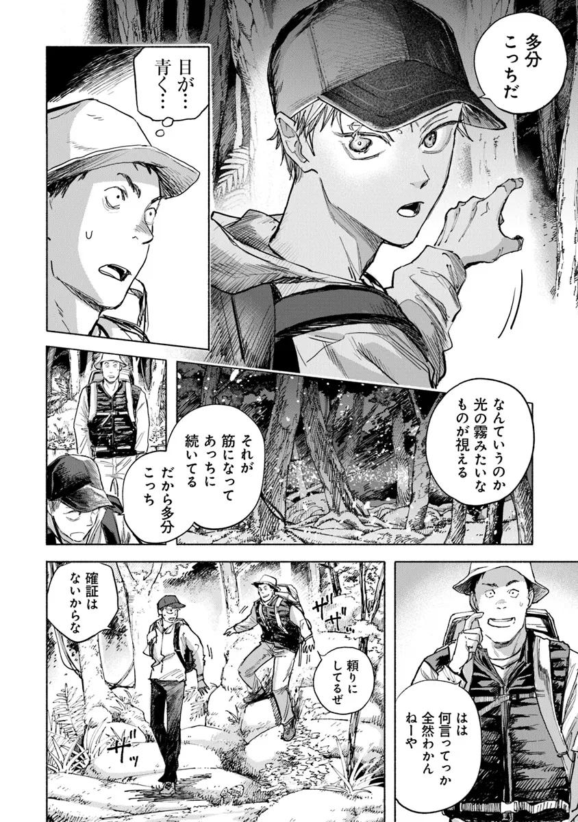 P41