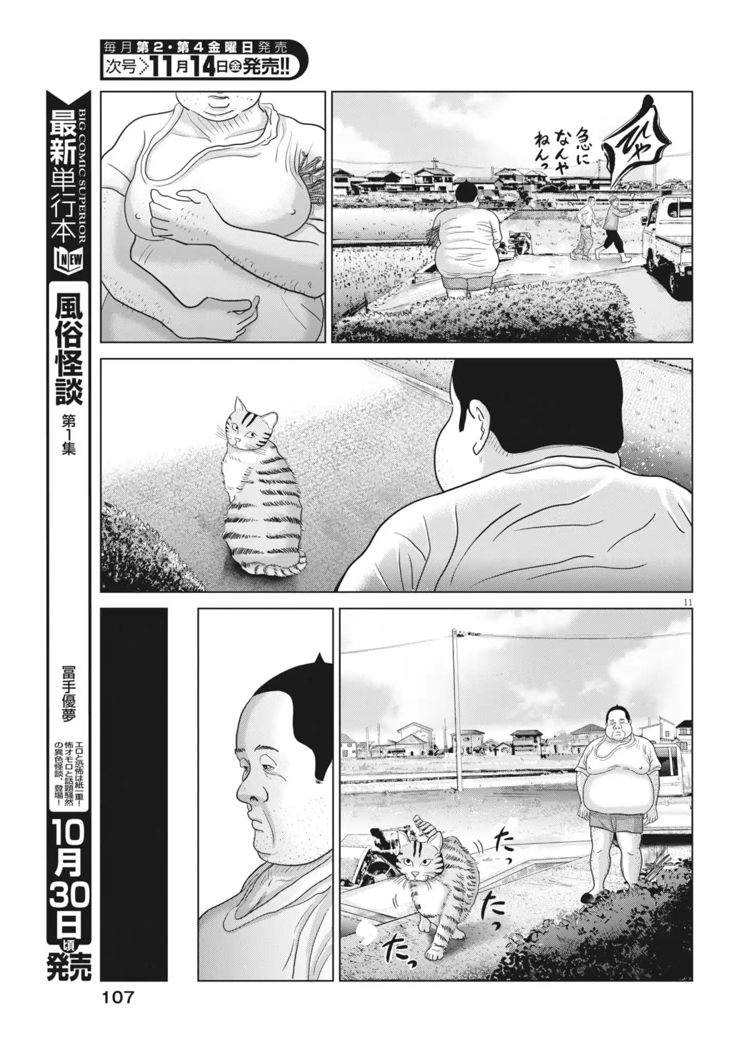 P11