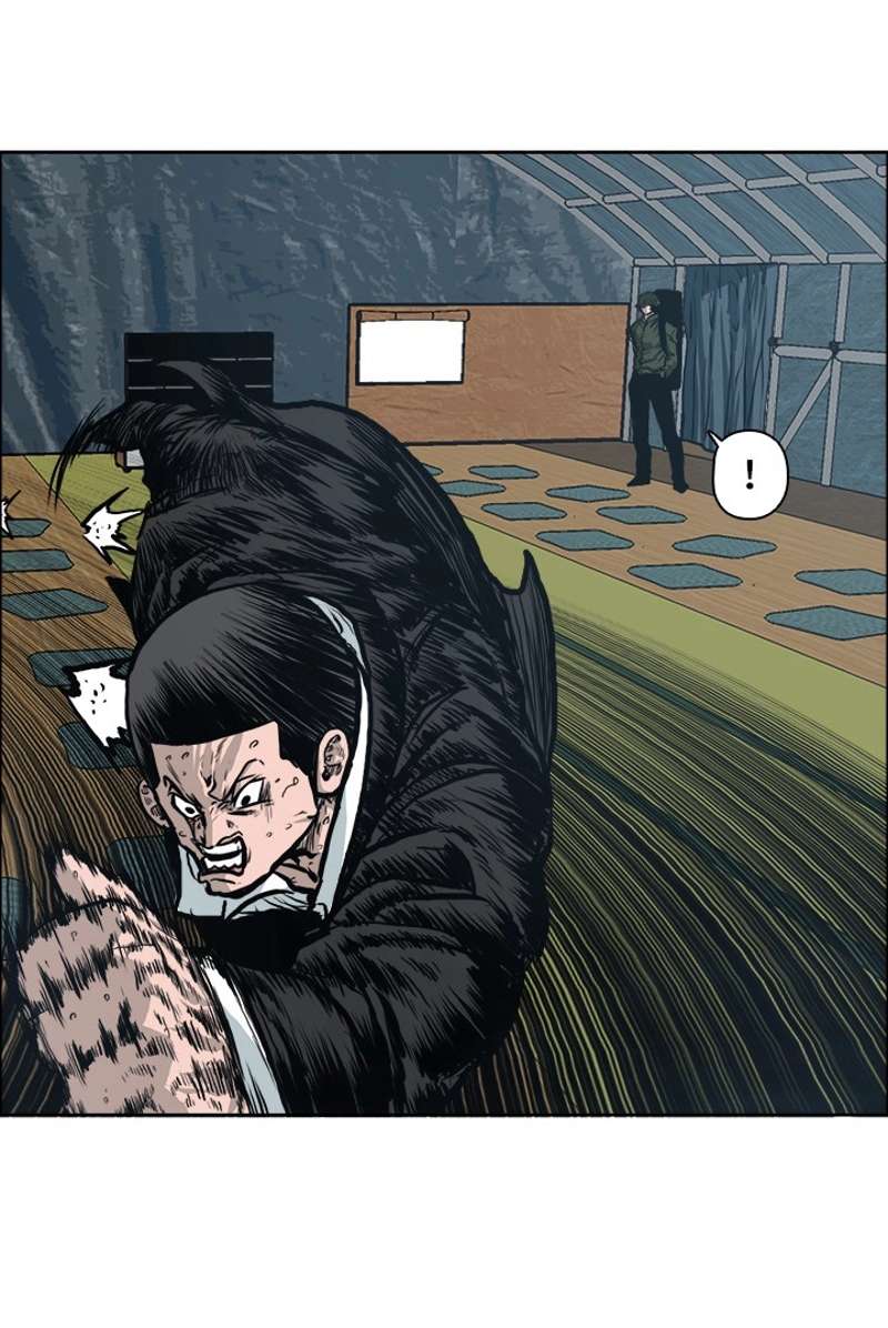 P31