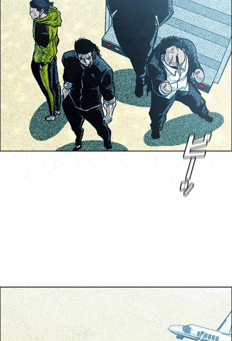 P63