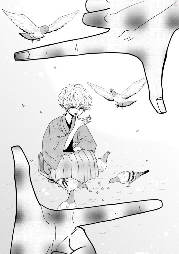 P24