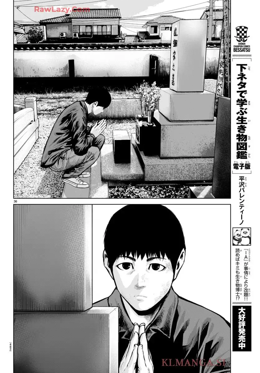 P36