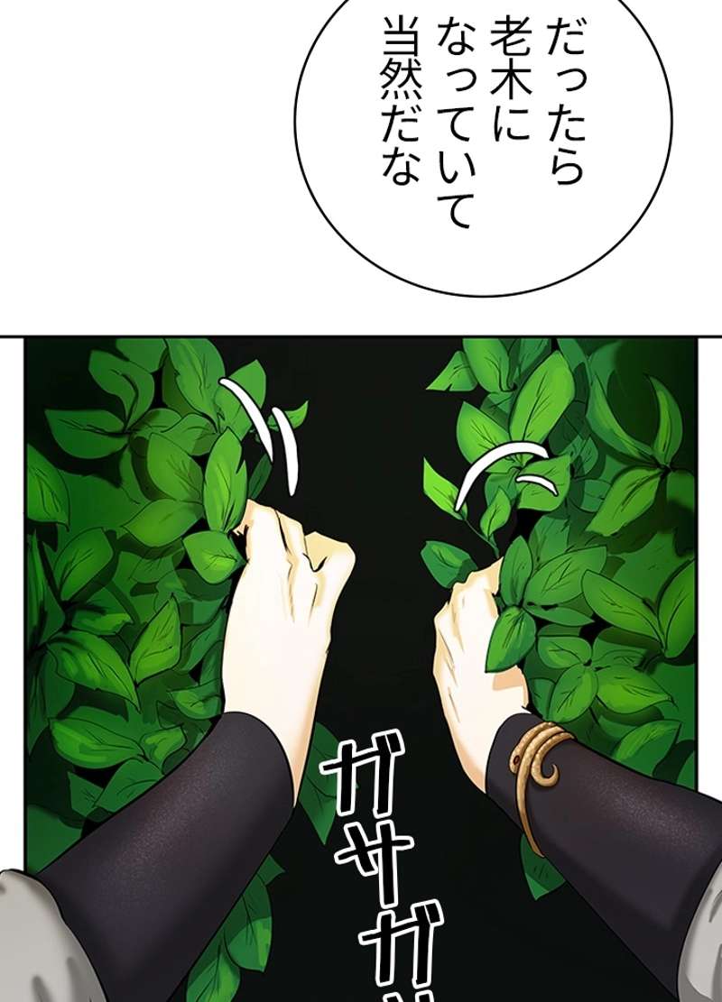 P47