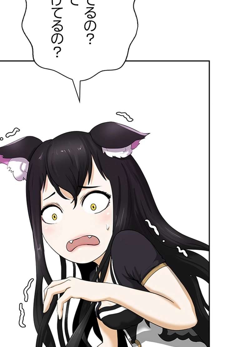 P54
