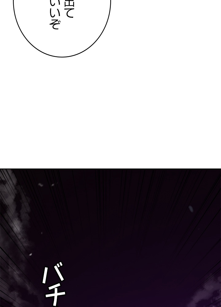 P66