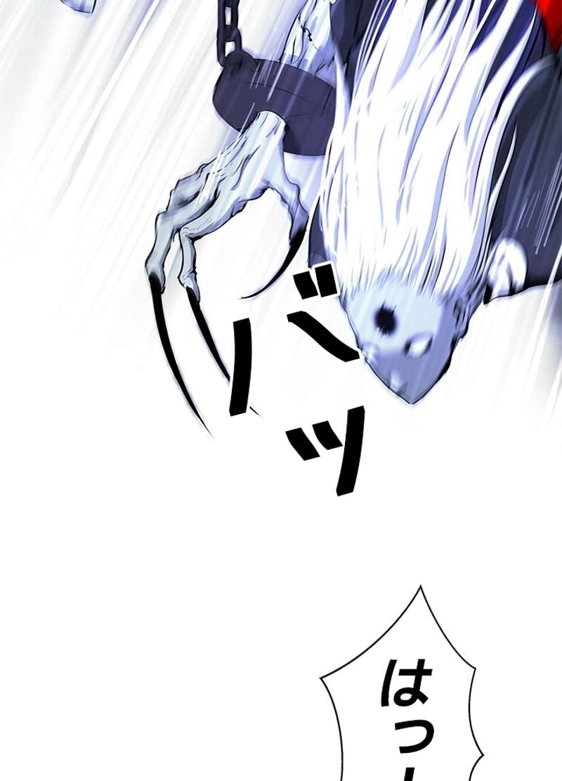 P41