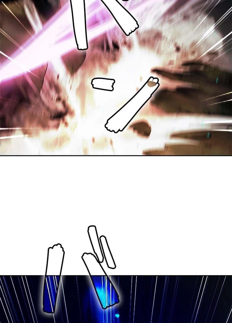 P66