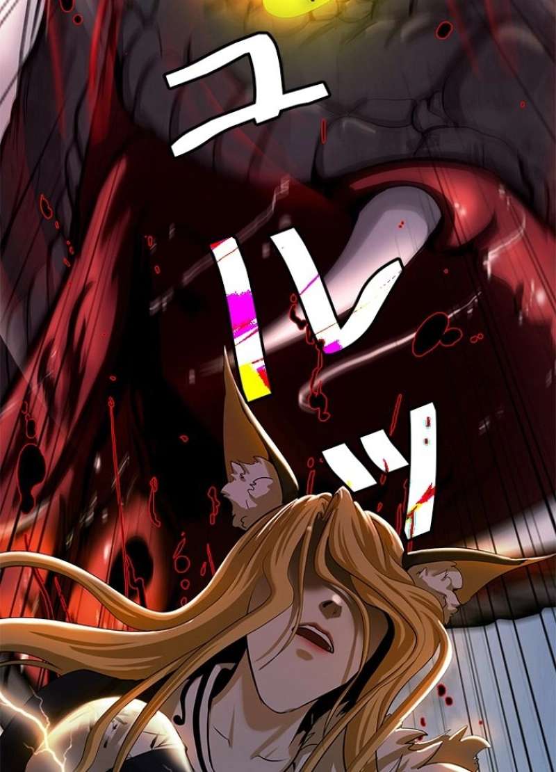 P66