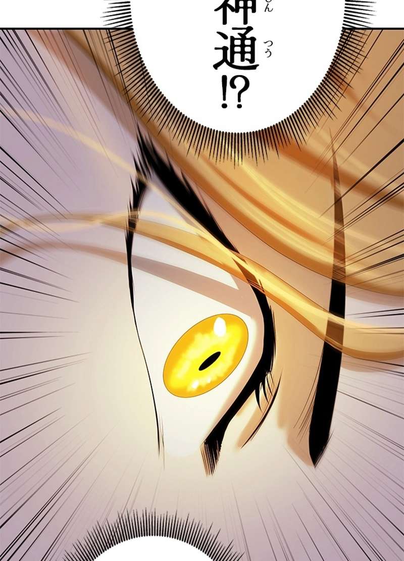 P66