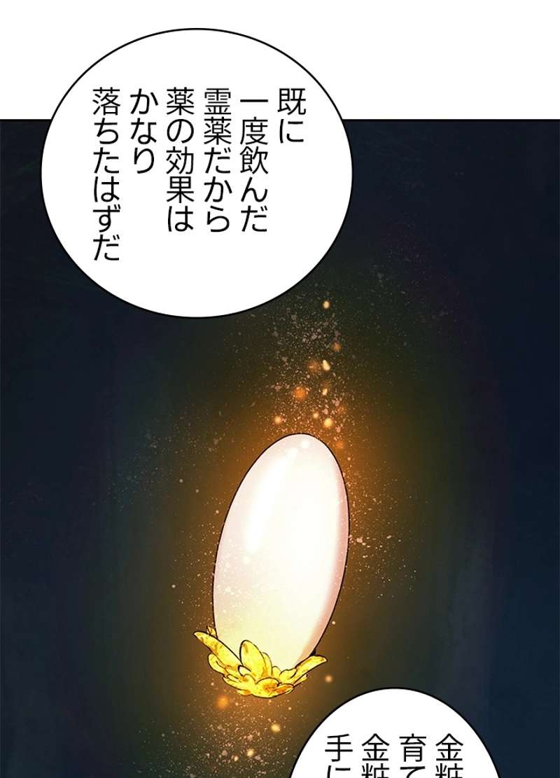 P48