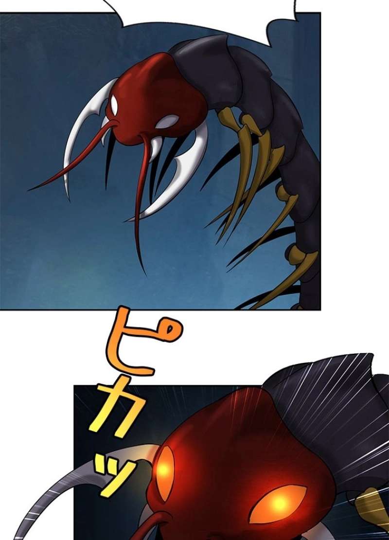 P56