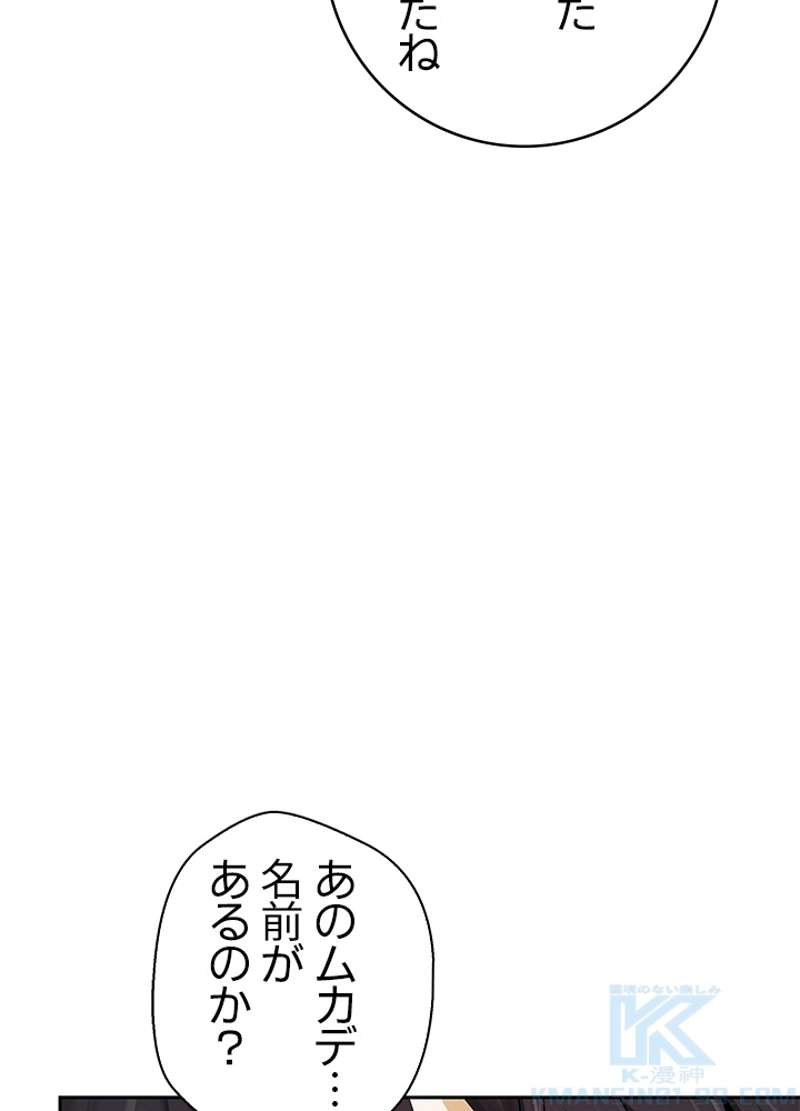 P64