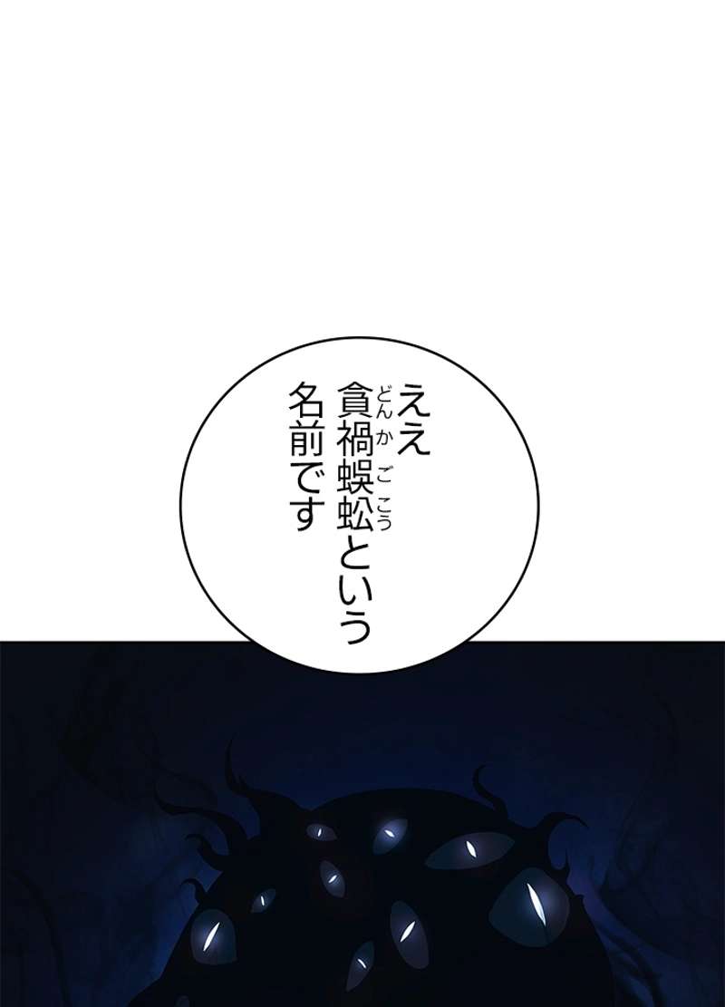 P66