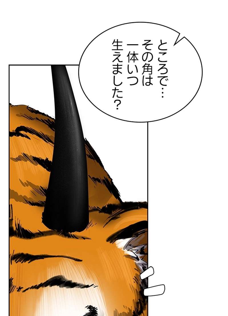P65