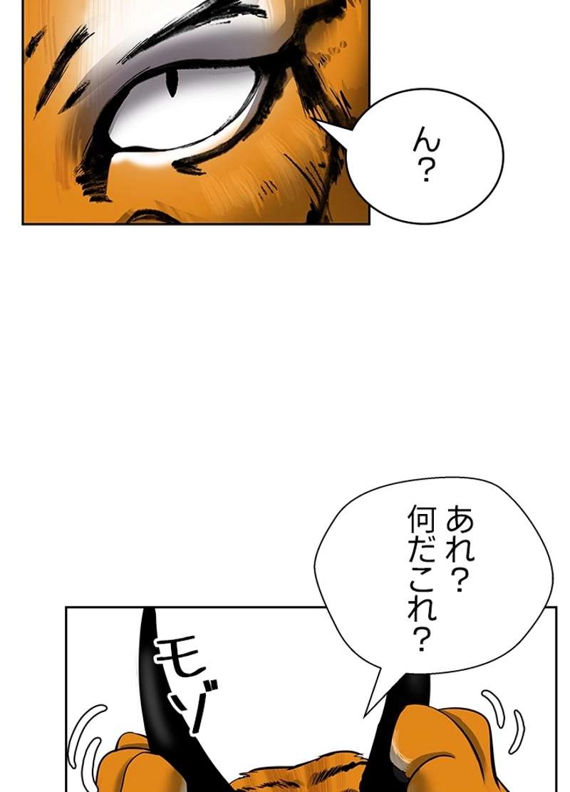 P66